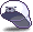 Baby Seal Snapback