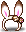 White Choco Bunny