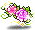 Romantic Rose