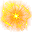 Golden Flash