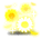 Sunflower Flower Rain