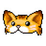 Mũ mèo