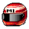 Maple Racing Helmet