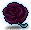 Rose of Death and Decay