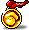 1st Place Medal