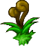 Rừng pháp thuật Alpine Plants