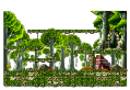 Khu rừng luyện tập 4