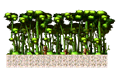 Map 706041007