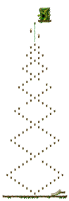 Map 960000020