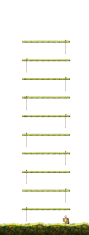Speed Run (Thường)