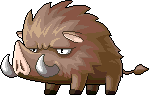 Stampeding Boar