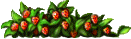 Bụi Dược Thảo